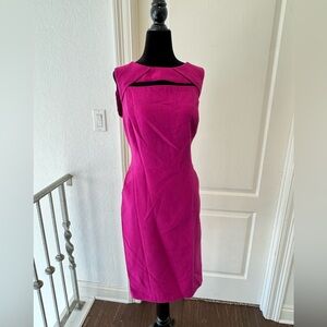 NWT Anne Klein Sz 10 Fuchsia Midi Dress